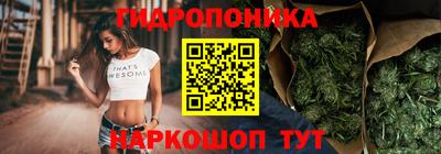 a pvp Сланцы
