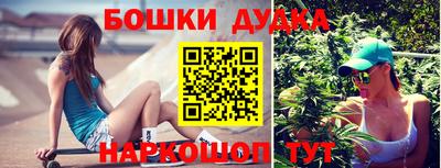 a pvp Славгород